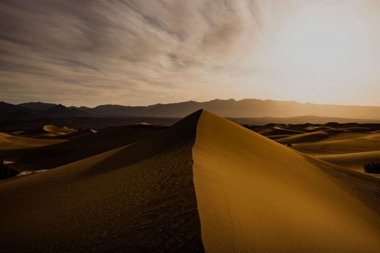 Welche Programmiersprache lerne ich für welchen Zweck?