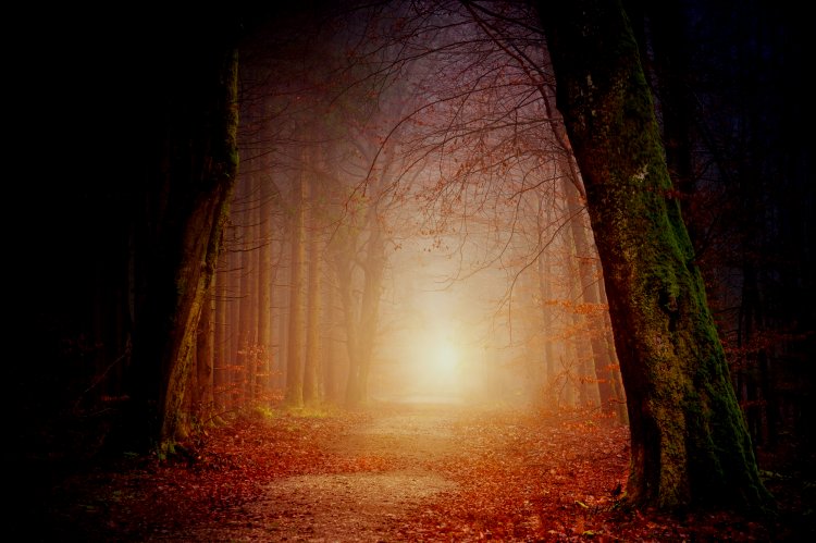 CSS Houdini bringt die Magie in CSS