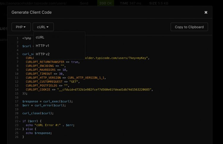 Insomnia Rest Client für API Calls Richtig Einsetzen