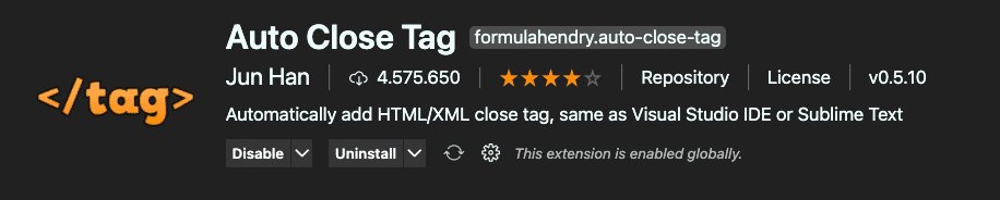 Auto Close Tag Erweiterung