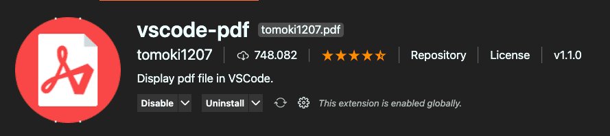 PDF Anzeige (vscode-pdf)