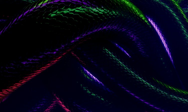 Einsteigen in Python und Programmieren Lernen!