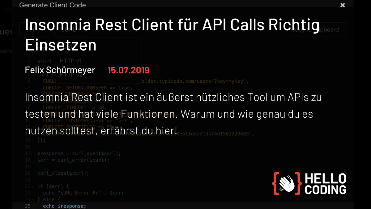 Insomnia Rest Client für API Calls Richtig Einsetzen | HelloCoding